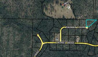 Park Court, Alford, FL 32420