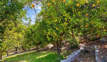 1832 Camino Rainbow, Fallbrook, CA 92028