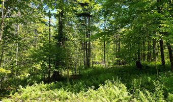0 Danville Hill Rd, Cabot, VT 05647