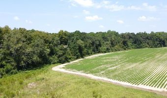 650 Pate St, Ashford, AL 36312