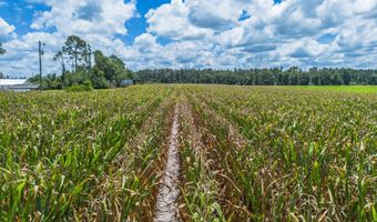 598 Teakwood Rd, Alma, GA 31510