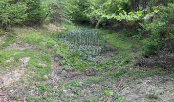 7046 S State Road 145, Birdseye, IN 47513