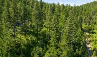 173 Timberjack Trl, Bigfork, MT 59911