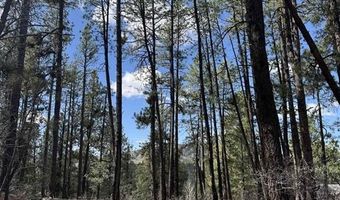 216 Fawn Dr, Bayfield, CO 81122