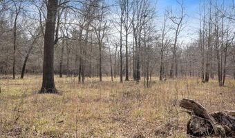 000 Hwy 105, Atkins, AR 72823