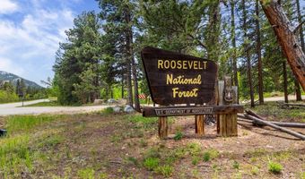 84 County Road 113 S, Allenspark, CO 80510