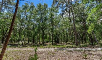 SE 152ND - RAVENSWOOD RD PARCEL B & C LOTS 16 17 Place, Altoona, FL 32702