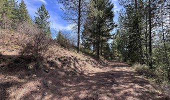 203 Richardsons Ridge Rd, Careywood, ID 83809