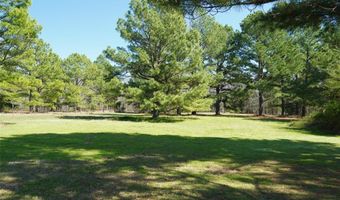 2861 RS County Road 2610, Alba, TX 75410