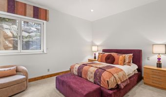 824 Bonita Dr, Aspen, CO 81611