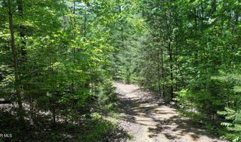 1475 Davis Valley Rd, Afton, TN 37616