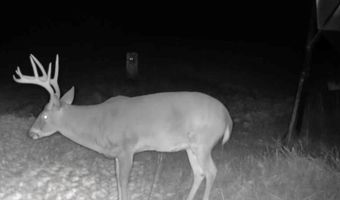 1037 Cr 300, Big Creek, MS 38914