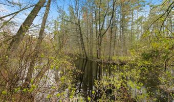 149 Pheasant Run Dr, Chester, NH 03036