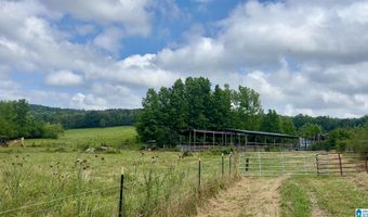 988 MINES Rd 100, Ashland, AL 36251