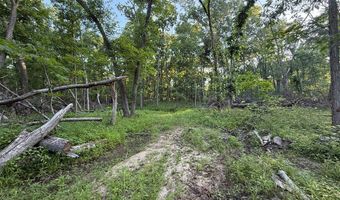 Jasmine Avenue, Atlanta, MO 63530