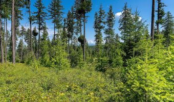 664 Saddlehorn Trl, Bigfork, MT 59911