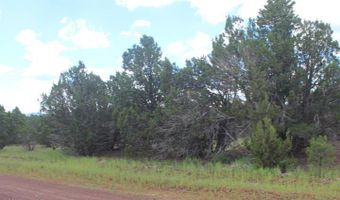 29 Co Rd 3199, Vernon, AZ 85940