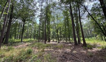 Fox Paw Court, Branchville, SC 29432