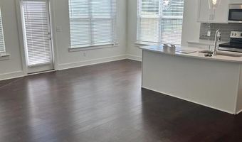 20 Auburn Landing Pl, Auburn, GA 30011