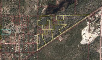 SW ARCHER, Archer, FL 32618