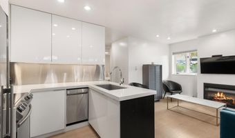 805 E Cooper Ave 2, Aspen, CO 81611