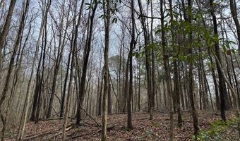 920 A Auburn Dr, Bogue Chitto, MS 39629