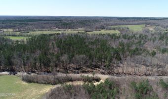 Tract 8 State Route 225, Bethel Springs, TN 38315