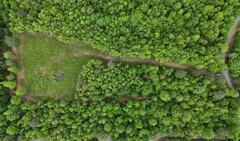 6020 Eaglewood Ln, Birchwood, TN 37308