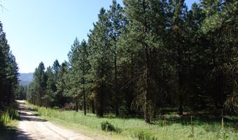 Skunk Creek Road, Cascade, ID 83611