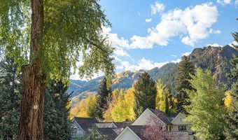 530 W Francis St, Aspen, CO 81611