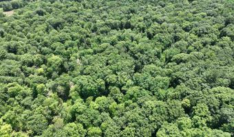 Denio Road, Barnet, VT 05821