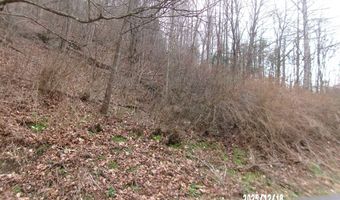 3675 Anawalt Ridge Rd, Anawalt, WV 24808