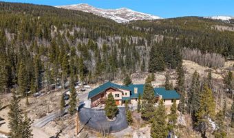 1227 Edgewood Rd, Alma, CO 80420