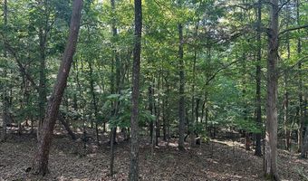 Lot 2B Gidsville Road, Amherst, VA 24521