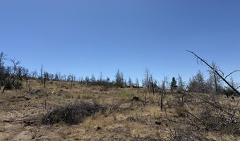 0 Wren Dr Lot 6, Bonanza, OR 97623