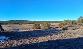 286 County Rd, Concho, AZ 85924