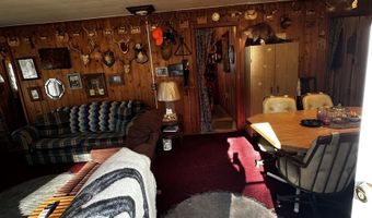 6002 Wildwood, Alger, MI 48610