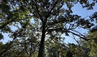0 County Road 217, Blue Springs, MS 38828