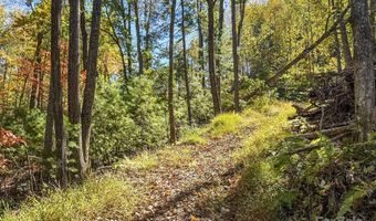 212 Judson Ridge Rd, Arden, NC 28704