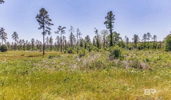 0 Allen Rd, Atmore, AL 36502