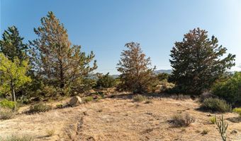 61826 Spanish Dagger Ln, Anza, CA 92539
