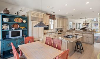 990 E Hopkins Ave, Aspen, CO 81611