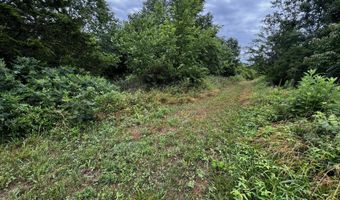 3702 Round House Rd, Aurora, MO 65605