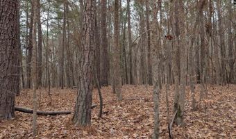 Lots B & C Miller Road, Camden, SC 29020