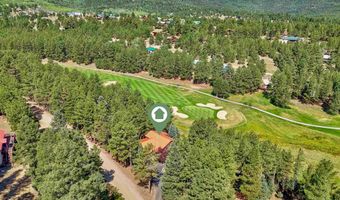 33 Champions Ter, Angel Fire, NM 87710