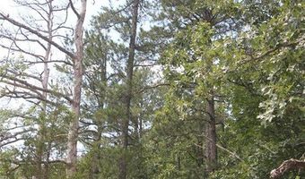 3751 CR 1313 County Road 1313 Crane Lake Rd, Arcadia, MO 63621