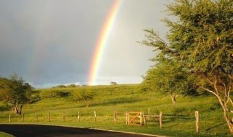 56-135 PUALANI Rd, Hawi, HI 96719