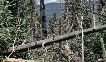 Lot 22 Hinz Drive, Angel Fire, NM 87710