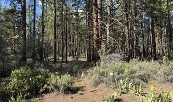 Thunderbear Road 46, Bonanza, OR 97623