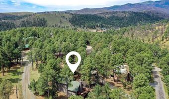 103 Woodbrier Ct 2, Alto, NM 88312